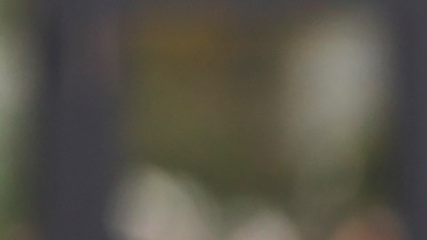Javier 'Chicharito' Hernández celebrando un gol con LA Galaxy.