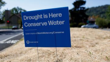 SAN ANSELMO, CALIFORNIA - APRIL 23: A sign advocating water conservation is posted in a field of dry grass on April 23, 2021 in San Anselmo, California. As the worsening drought takes hold in the state of California, Marin County became the first county in the state to impose mandatory water-use restrictions that are set to take effect May 1. Residents will be ordered to refrain from washing cars at home, refilling pools and watering lawns will only be allowed once a week. Earlier this week, California Gov. Gavin Newsom declared a drought emergency in Sonoma and Mendocino counties. (Photo by Justin Sullivan/Getty Images)