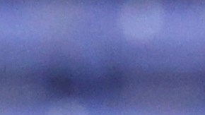 Veljko Paunovic, entrenador de Chivas.