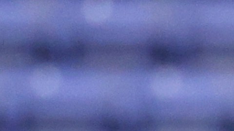 Veljko Paunovic, entrenador de Chivas.