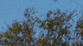 VIDEO: Tornados causan terror en Luisiana y dejan al menos tres muertos a su paso