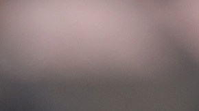 Se casó con la superestrella Beyoncé, el 4 de abril de 2008.