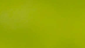 ETOBICOKE, ONTARIO - JUNE 10: A coyote jogs across the course during the second round of the RBC Canadian Open at St. George's Golf and Country Club on June 10, 2022 in Etobicoke, Ontario. (Photo by Vaughn Ridley/Getty Images)