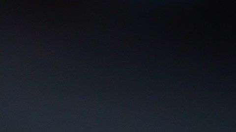 Miguel Herrera, ex seleccionador de México.