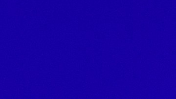 Rita Ora | Getty Images