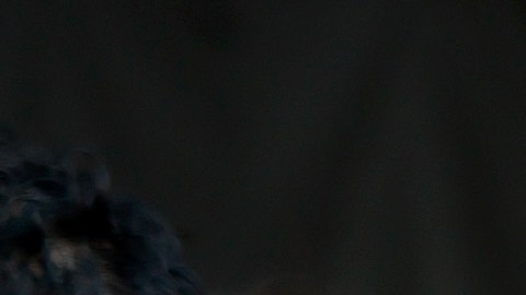 El gobierno de EE.UU. planea reducir las solicitudes de asilo en la frontera.