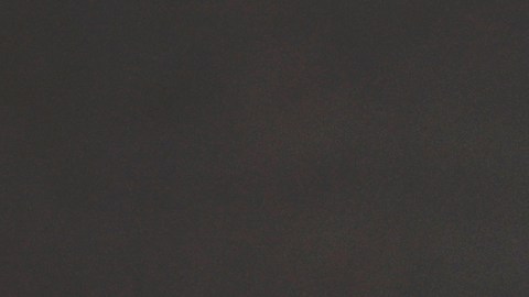 Olivia Culpo | Frazer Harrison/Getty Images