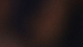 La pelota se vendió en 1.5 millones de dólares.