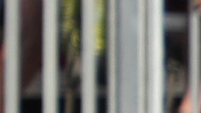 El pickleball es disfrutado por 5 millones de personas, aproximadamente.