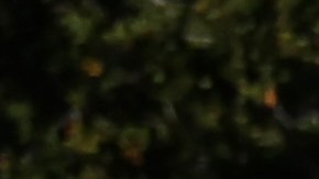 La huelga alcanzó los 10 campus de la Universidad de California.