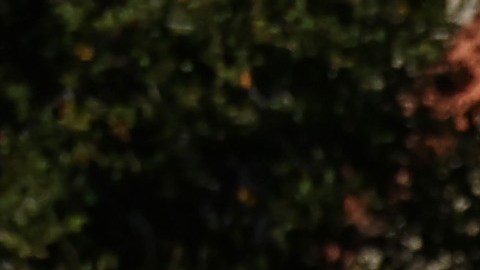 La huelga alcanzó los 10 campus de la Universidad de California.