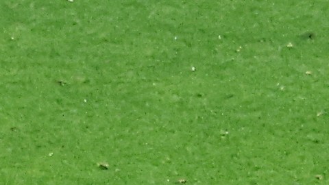 Raheem Sterling con la Selección de Inglaterra ante  Estados Unidos en Qatar 2022.