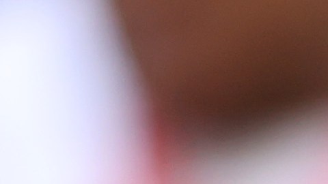 Entrenador de Camerún, Rigobert Song durante un partido de Qatar 2022.