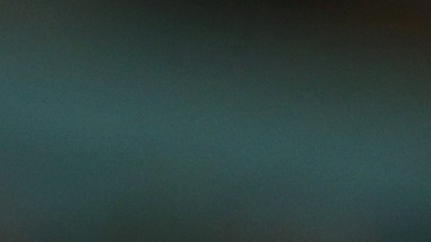 La afición mexicana hizo acto de presencia en el Mundial Qatar 2022.