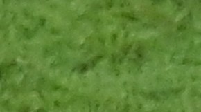 Thierry Henry trabajó como asistente de Roberto Martínez.