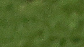 Weston Mckennie lamentando eliminación de Estados Unidos en Qatar 2022.