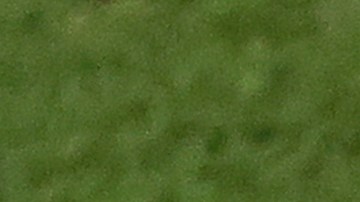 Weston Mckennie lamentando eliminación de Estados Unidos en Qatar 2022.