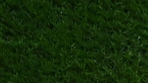 Rodrigo De Paul y Lionel Messi.