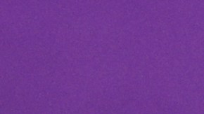 Luis Enrique, seleccionador de España.