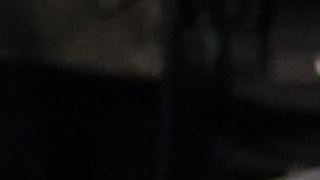 Selección de Brasil celebrando en el Mundial Qatar 2022.