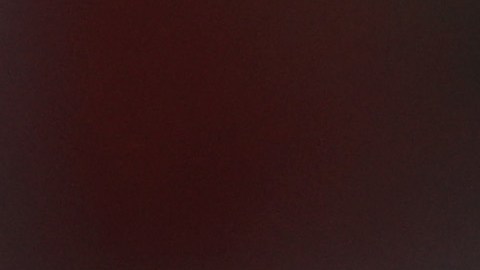 Dani Carvajal no sufrió daños durante el robo debido a que no estaba en casa.