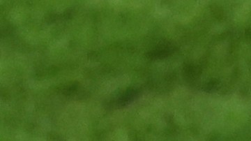 Emiliano Martínez y Ángel di María.