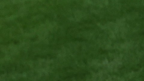 Neymar recibió el premio en nombre de Pelé.