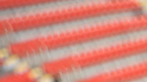 Grant se desvaneció en su puesto de trabajo, en el encuentro entre Argentina y Países Bajos