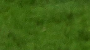 Cristiano Ronaldo se retiró en lágrimas del Estadio Al Thumama de Qatar tras la eliminación de Portugal del Mundial 2022.