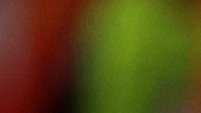 Aficionado de Marruecos en Qatar 2022.