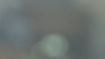 Rodrigo De Paul besando la medalla de campeón del Mundo en Qatar 2022.