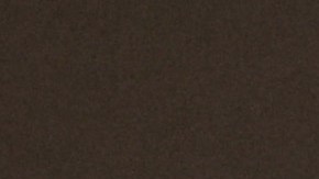 Autobús de la selección Argentina celebrando en Qatar 2022.