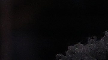 La pelea terminó en la banca de Detroit.