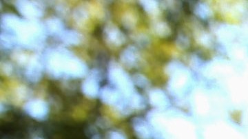 Discusión en redes sociales desata tiroteo en Atlanta, con 2 adolescentes muertos y múltiples heridos