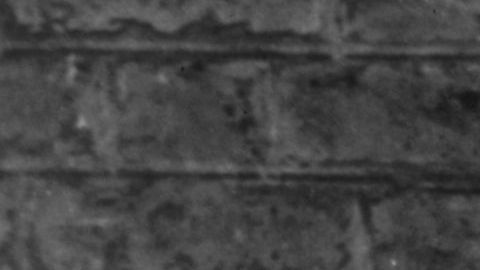 Pickles encontró la Copa del Mundo de 1966.