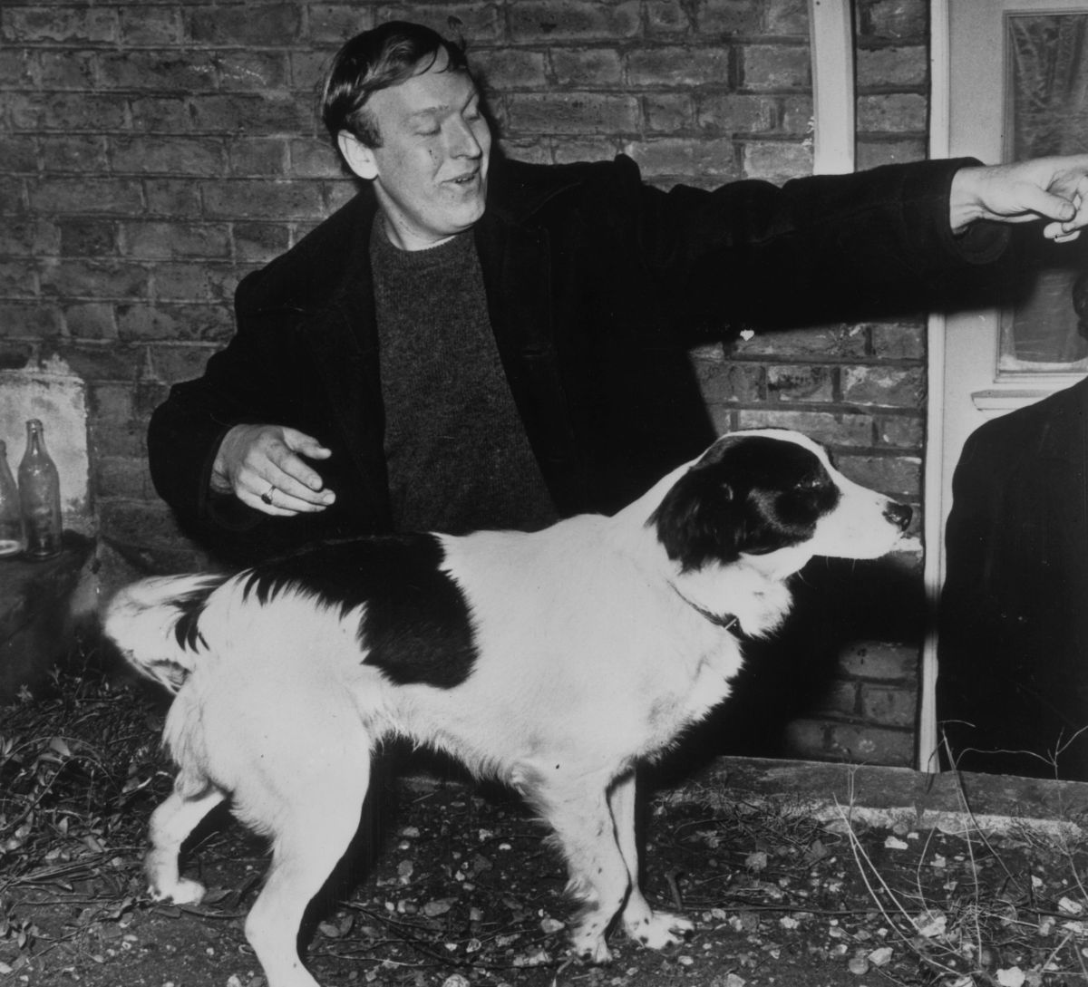 The tender story of Pickles, the puppy that rescued the World Cup in England 1966