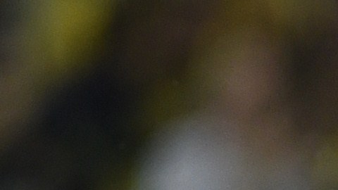 Neymar celebra un gol contra Croacia en el 2014.