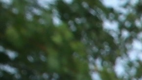 La policía del sur de Florida pide no bajar la guardia.