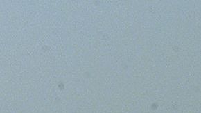 ANACAPA ISLAND, UNITED STATES: A US Coast Guard sailor and helicopter search for survivor and debris 01 February, 2000 of Alaskan Airlines flight 261 that crashed off the coast of southern California near Anacapa Island. No survivors have been found of the 88 passengers and crew aboard the airliner heading to San Francisco from Puerto Vallarta, Mexico. (ELECTRONIC IMAGE) AFP PHOTO/Mike NELSON (Photo credit should read MIKE NELSON/AFP via Getty Images)