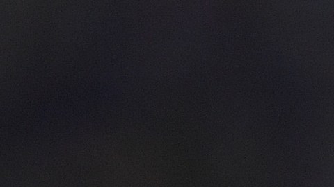 Gignac ha jugado 36 partidos con la selección de Francia.