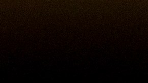 NEW YORK, NY - FEBRUARY 14: Rumor the German Shepherd poses for photos after winning Best In Show at the Westminster Kennel Club Dog Show at Madison Square Garden, February 14, 2017 in New York City. There are 2874 dogs entered in this show with a total entry of 2908 in 200 different breeds or varieties, including 23 obedience entries. (Photo by Drew Angerer/Getty Images)