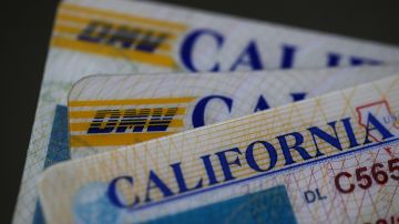 SAN ANSELMO, CA - MAY 09: In this photo illustration, the California Department of Motor Vehicles (DMV) logo appears on a California driver license on May 9, 2017 in San Anselmo, California. The California Department of Motor Vehicles is being accused in a federal lawsuit of violating voter federal "motor voter" law with a requirement for over 1 million residents who renew their license by mail to fill out a seperate form with their renewal. (Photo Illustration by Justin Sullivan/Getty Images)
