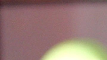 PeeWee formó parte de Kumbia Kings y Kumbia All Starz.