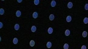 Dulce María llegó al estrelato tras su paso por "Rebelde"