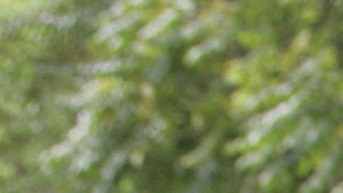 VIDEO: Hombre ataca a mecánico por supuesto mal trabajo en su auto en Argentina