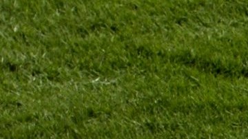 Logo de la NFL durante un partido de Tampa Bay Bucccaneers.