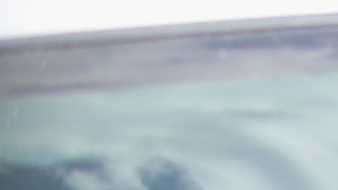 EE.UU. expulsará a inmigrantes que no tengan base legal para ser admitidos.