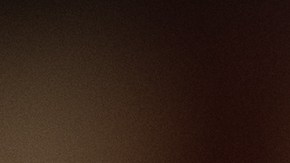 Una niña pequeña sostiene la bandera mientras USCIS da la bienvenida a nuevos ciudadanos.