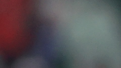 Guillermo Ochoa es nuevo portero del Salernitana.