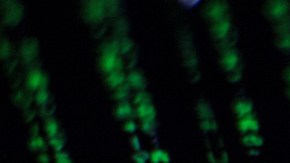 Hackers norcoreanos roban US$1.200 millones en criptomonedas